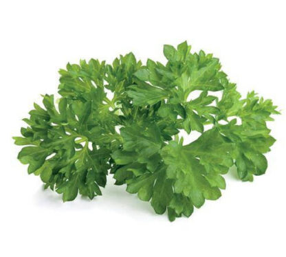button to buy organic flat leaf parsley seeds