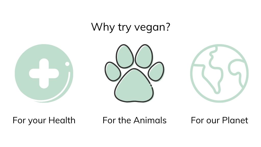 Rich results on Google's SERP when searching for 'try vegan'