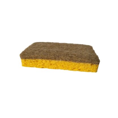 biodegradable sponge