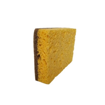 biodegradable sponge